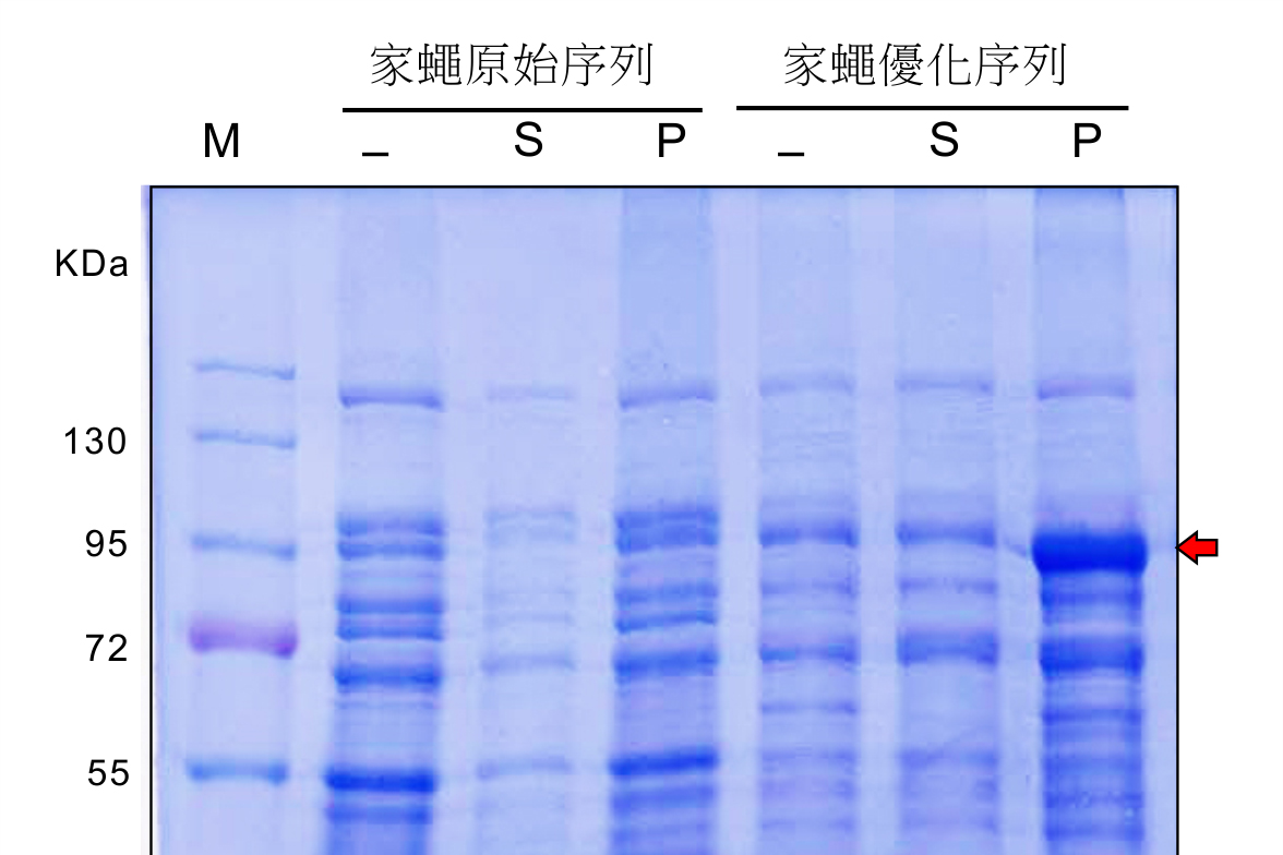 raw gene expression.jpg raw gene expression.jpg